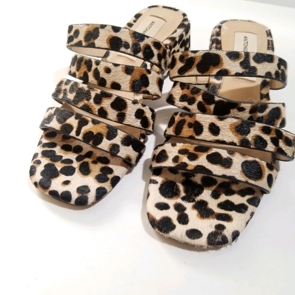 ANTONIO MELANI Cosgrove Leopard Banded Sandal - Picture 6 of 14